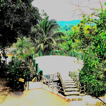 Rainforest Lodge, Deniyaya Dış mekan fotoğraf