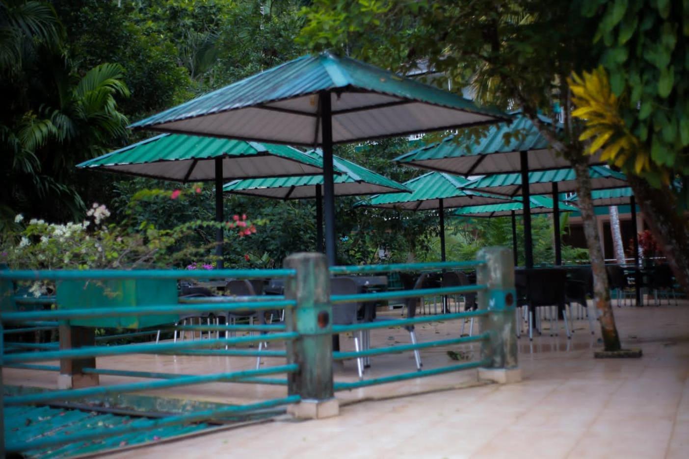 Rainforest Lodge, Deniyaya Dış mekan fotoğraf