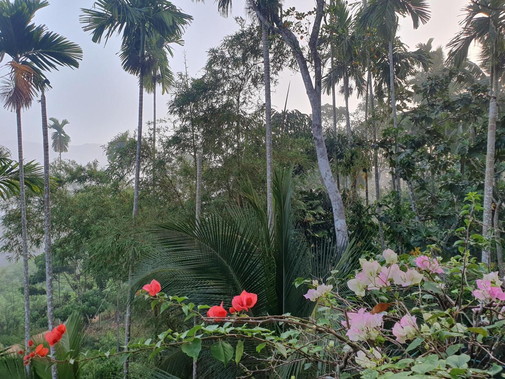 Rainforest Lodge, Deniyaya Dış mekan fotoğraf