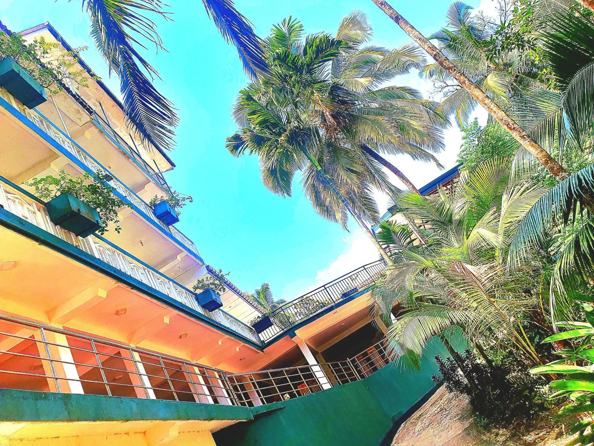 Rainforest Lodge, Deniyaya Dış mekan fotoğraf