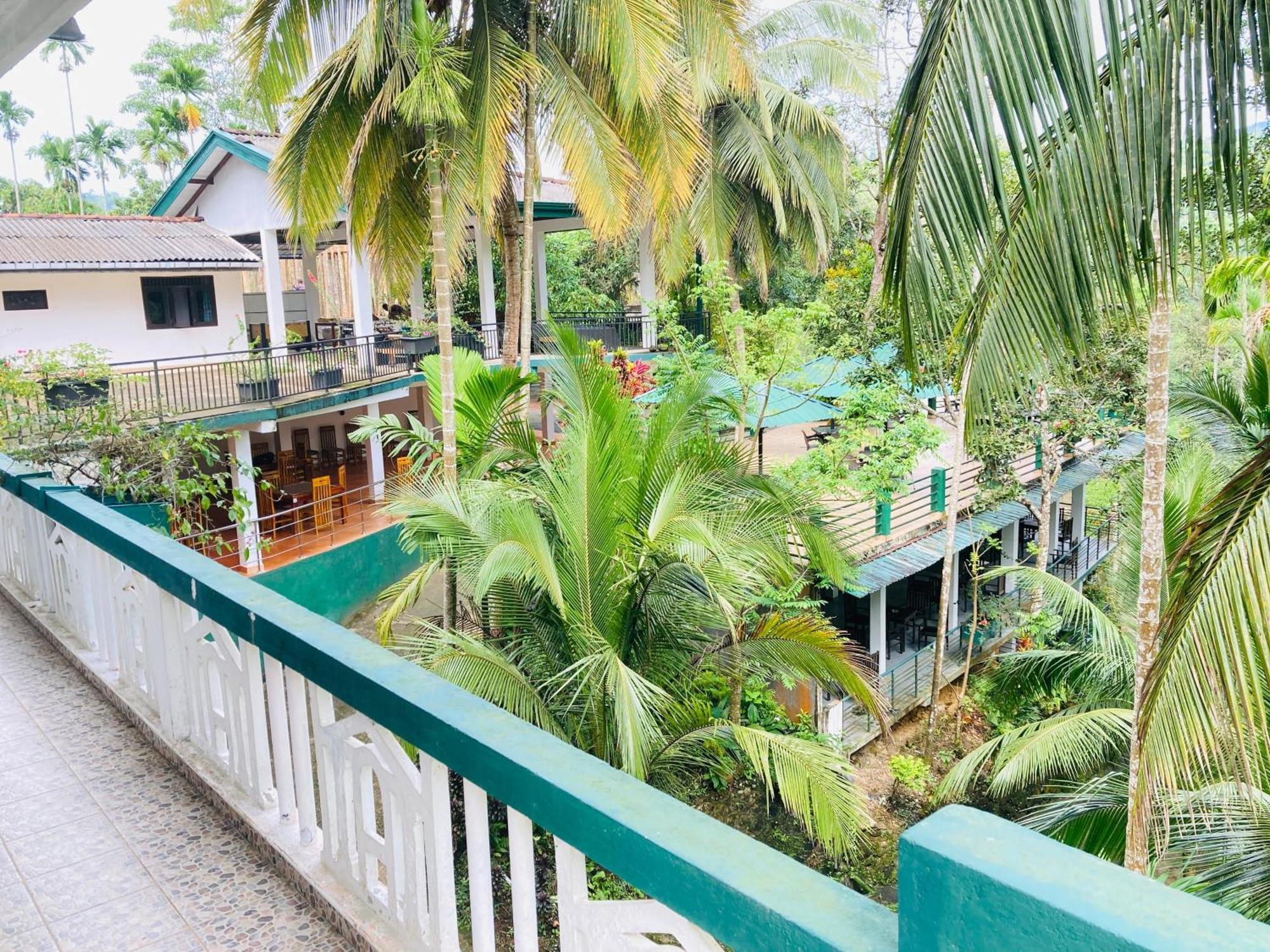 Rainforest Lodge, Deniyaya Dış mekan fotoğraf